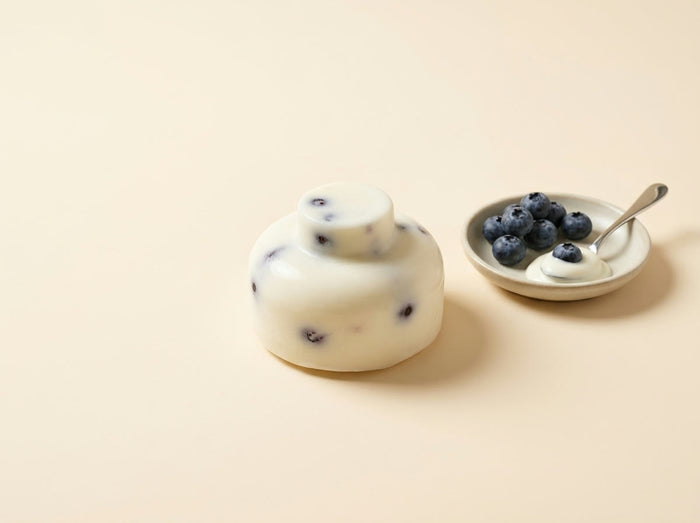 Blueberry yoghurt pop frozen pop