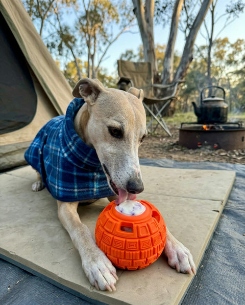 Juno, Margaret River