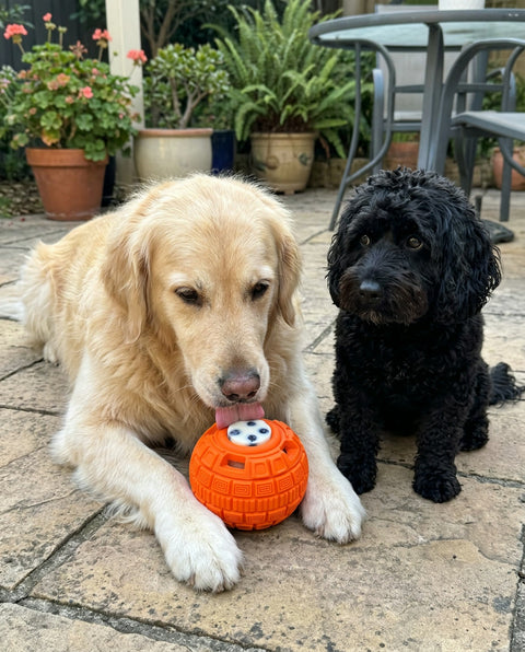Honey and Pepper, Newcastle